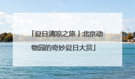 夏日清凉之旅丨北京动物园的奇妙夏日大赏