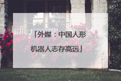 外媒：中国人形机器人志存高远