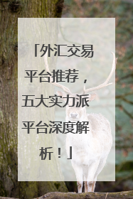 外汇交易平台推荐，五大实力派平台深度解析！