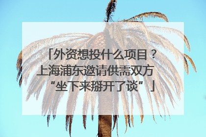 外资想投什么项目？上海浦东邀请供需双方“坐下来掰开了谈”