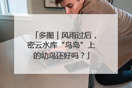 多图｜风雨过后，密云水库“鸟岛”上的幼鸟还好吗？