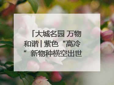 大城名园 万物和谐│紫色“高冷”新物种横空出世，皱褶叶片暗藏进化密码