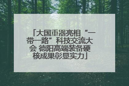 大国重器亮相“一带一路”科技交流大会 德阳高端装备硬核成果彰显实力