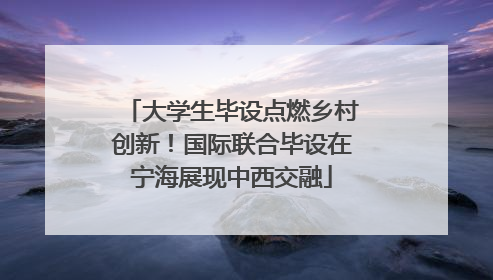 大学生毕设点燃乡村创新！国际联合毕设在宁海展现中西交融