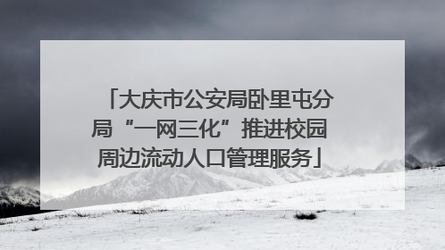 大庆市公安局卧里屯分局“一网三化”推进校园周边流动人口管理服务