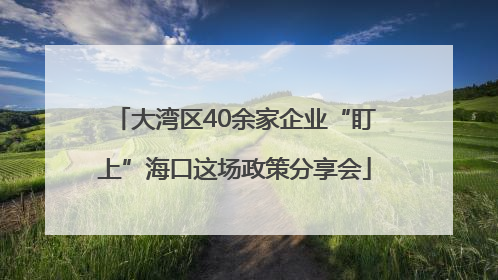 大湾区40余家企业“盯上”海口这场政策分享会