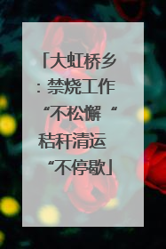 大虹桥乡：禁烧工作“不松懈“ 秸秆清运“不停歇