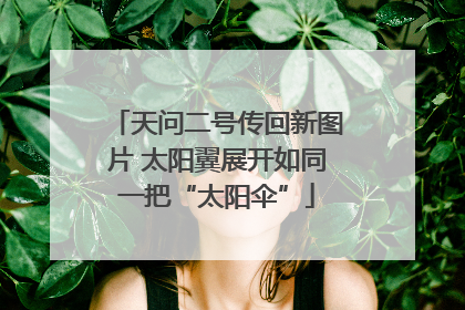 天问二号传回新图片 太阳翼展开如同一把“太阳伞”