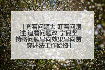 奔着问题去 盯着问题述 追着问题改 宁夏坚持将问题导向效果导向贯穿述法工作始终