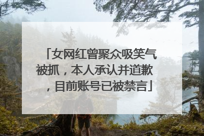 女网红曾聚众吸笑气被抓，本人承认并道歉，目前账号已被禁言