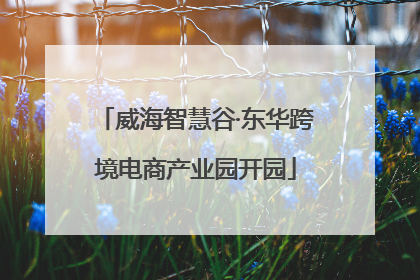 威海智慧谷·东华跨境电商产业园开园