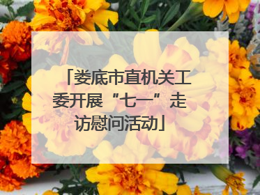 娄底市直机关工委开展“七一”走访慰问活动