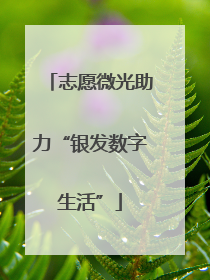 志愿微光助力“银发数字生活”