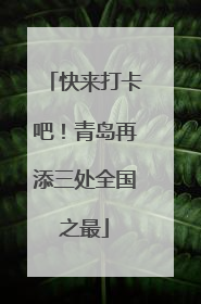 快来打卡吧！青岛再添三处全国之最
