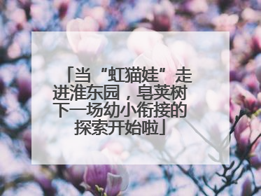 当“虹猫娃”走进淮东园，皂荚树下一场幼小衔接的探索开始啦