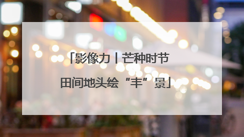 影像力丨芒种时节 田间地头绘“丰”景