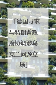 德国寻求与特朗普政府协调涉乌克兰问题立场