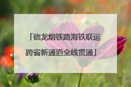 德龙烟铁路海铁联运跨省新通道全线贯通