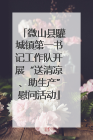 微山县驩城镇第一书记工作队开展“送清凉、助生产”慰问活动
