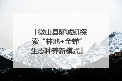 微山县驩城镇探索“林地+金蝉”生态种养新模式