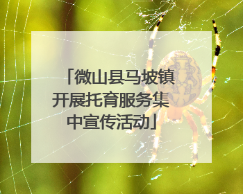 微山县马坡镇开展托育服务集中宣传活动