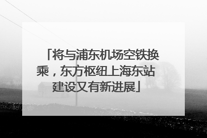 将与浦东机场空铁换乘，东方枢纽上海东站建设又有新进展