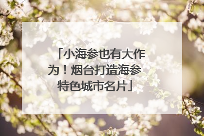 小海参也有大作为！烟台打造海参特色城市名片