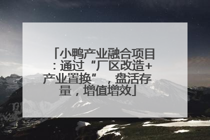 小鸭产业融合项目：通过“厂区改造+产业置换”，盘活存量，增值增效