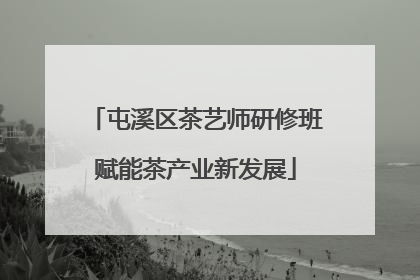 屯溪区茶艺师研修班赋能茶产业新发展