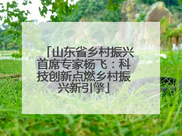 山东省乡村振兴首席专家杨飞：科技创新点燃乡村振兴新引擎