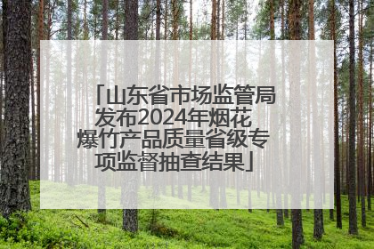 山东省市场监管局发布2024年烟花爆竹产品质量省级专项监督抽查结果