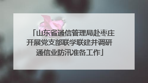 山东省通信管理局赴枣庄开展党支部联学联建并调研通信业防汛准备工作