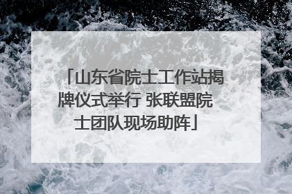 山东省院士工作站揭牌仪式举行 张联盟院士团队现场助阵