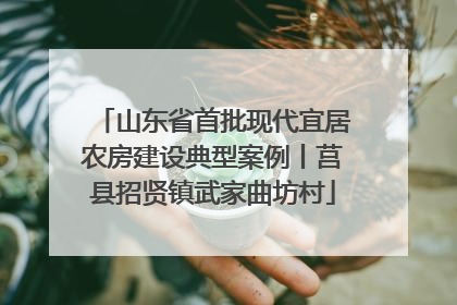 山东省首批现代宜居农房建设典型案例丨莒县招贤镇武家曲坊村