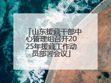 山东援藏干部中心管理组召开2025年援藏工作动员部署会议