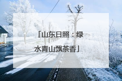 山东日照：绿水青山飘茶香