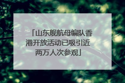 山东舰航母编队香港开放活动已吸引近两万人次参观