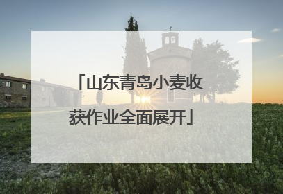 山东青岛小麦收获作业全面展开