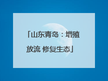 山东青岛：增殖放流 修复生态
