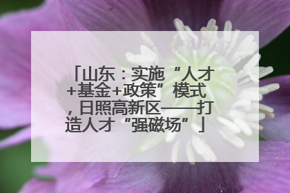 山东：实施“人才+基金+政策”模式，日照高新区——打造人才“强磁场”