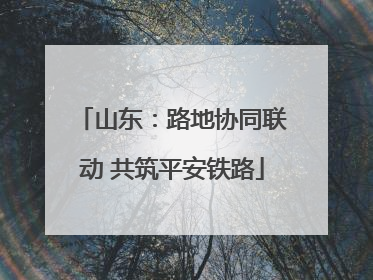 山东：路地协同联动 共筑平安铁路
