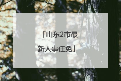 山东2市最新人事任免
