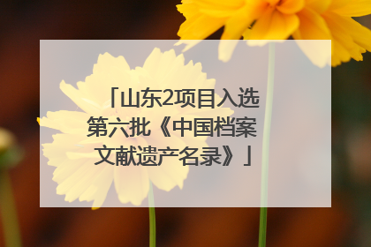 山东2项目入选第六批《中国档案文献遗产名录》