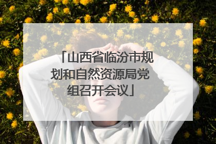 山西省临汾市规划和自然资源局党组召开会议
