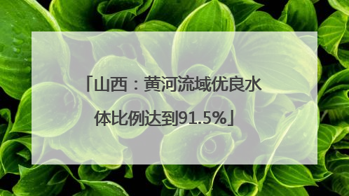 山西：黄河流域优良水体比例达到91.5%