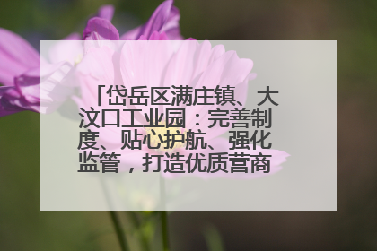 岱岳区满庄镇、大汶口工业园：完善制度、贴心护航、强化监管，打造优质营商“强磁场”