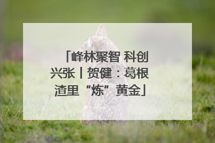 峰林聚智 科创兴张丨贺健：葛根渣里“炼”黄金