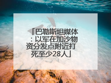 巴勒斯坦媒体：以军在加沙物资分发点附近打死至少28人