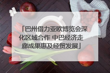 巴州借力亚欧博览会深化区域合作 中巴经济走廊成果惠及经贸发展