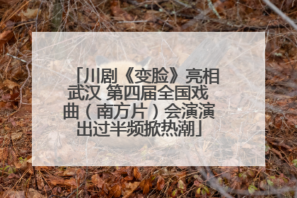 川剧《变脸》亮相武汉 第四届全国戏曲（南方片）会演演出过半频掀热潮